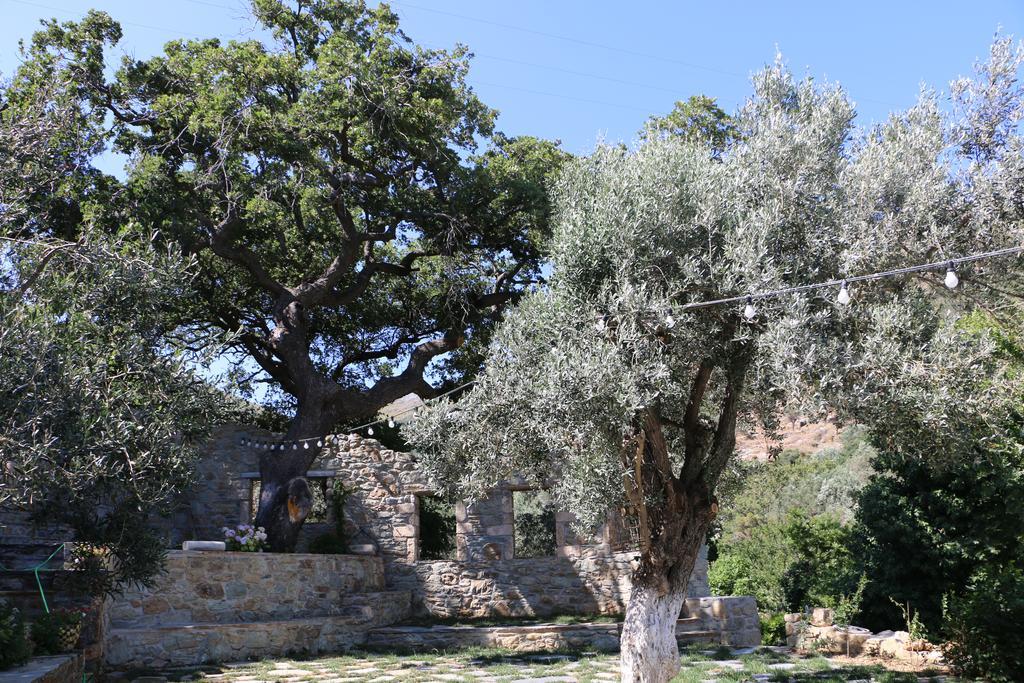 Naiades Villas Karystos  Bagian luar foto